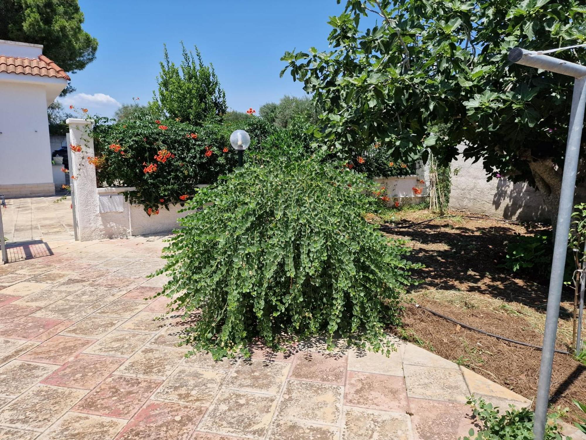 Villa Carmela A San Pietro In Bevagna Exterior foto